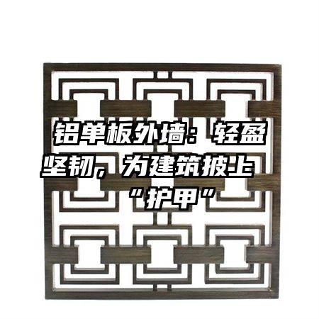 铝单板外墙：轻盈坚韧，为建筑披上“护甲”